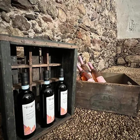 Apartment Kaps Wohnen Saalfelden