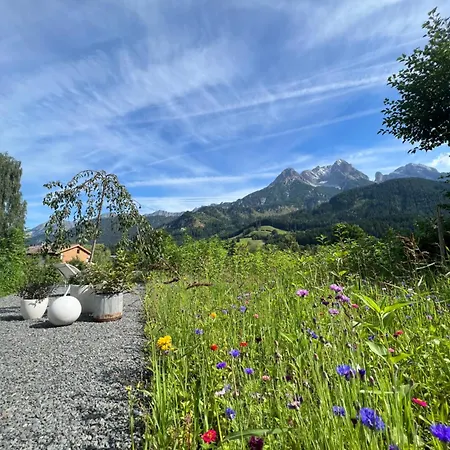 Apartment Kaps Wohnen Saalfelden